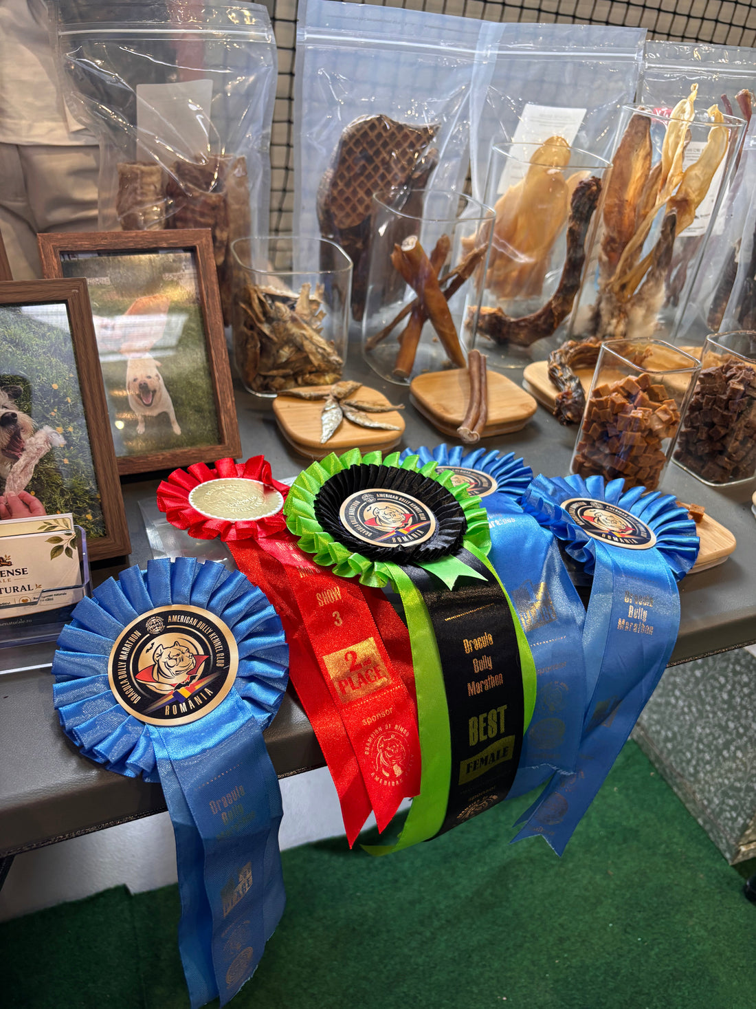 Timișoara Bully Show Marathon 9-10 Mai 2026
