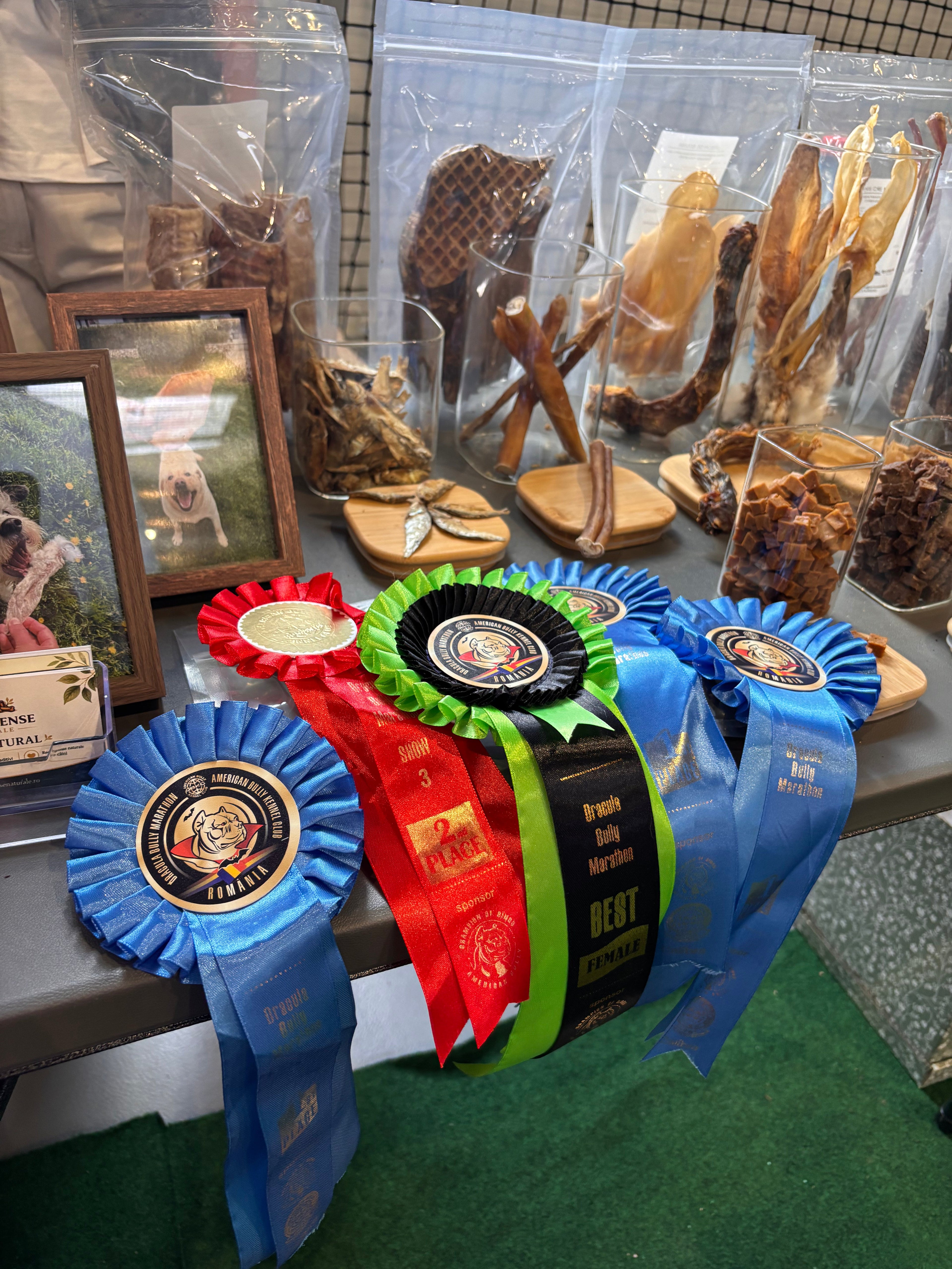 Timișoara Bully Show Marathon 9-10 Mai 2026
