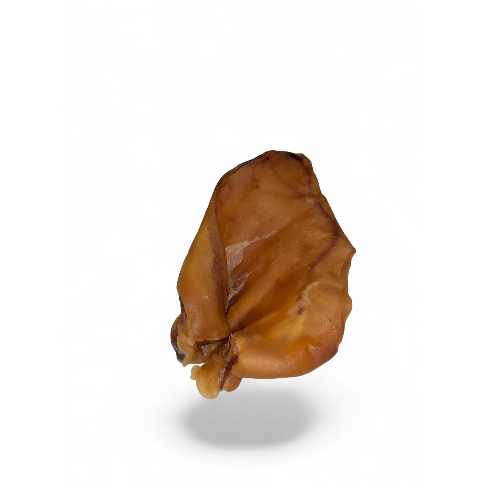 Ureche de porc - 1 buc