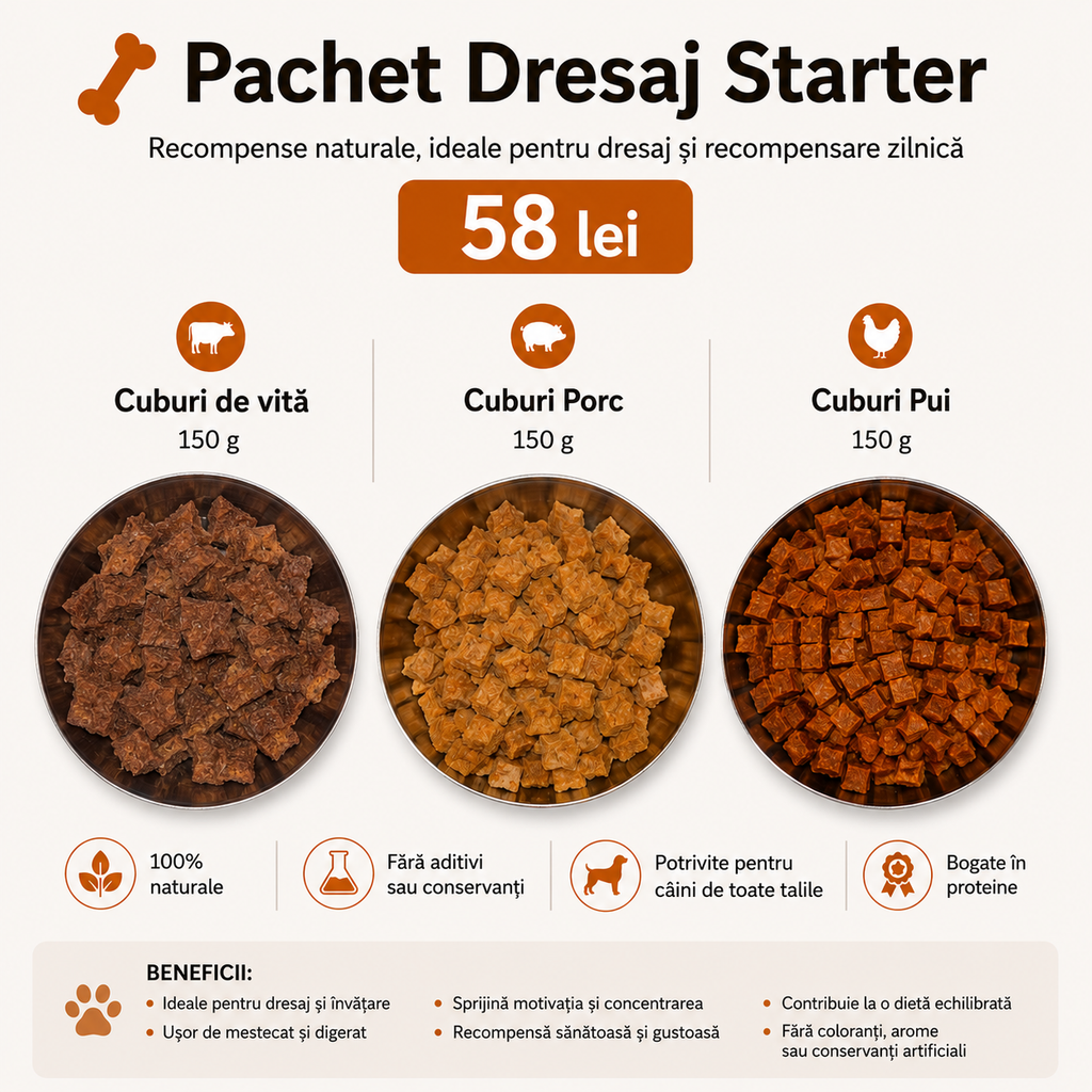 Pachet PROMO Dresaj Starter