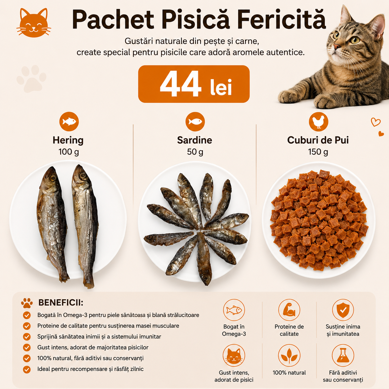 Pachet PROMO Pisică Fericită
