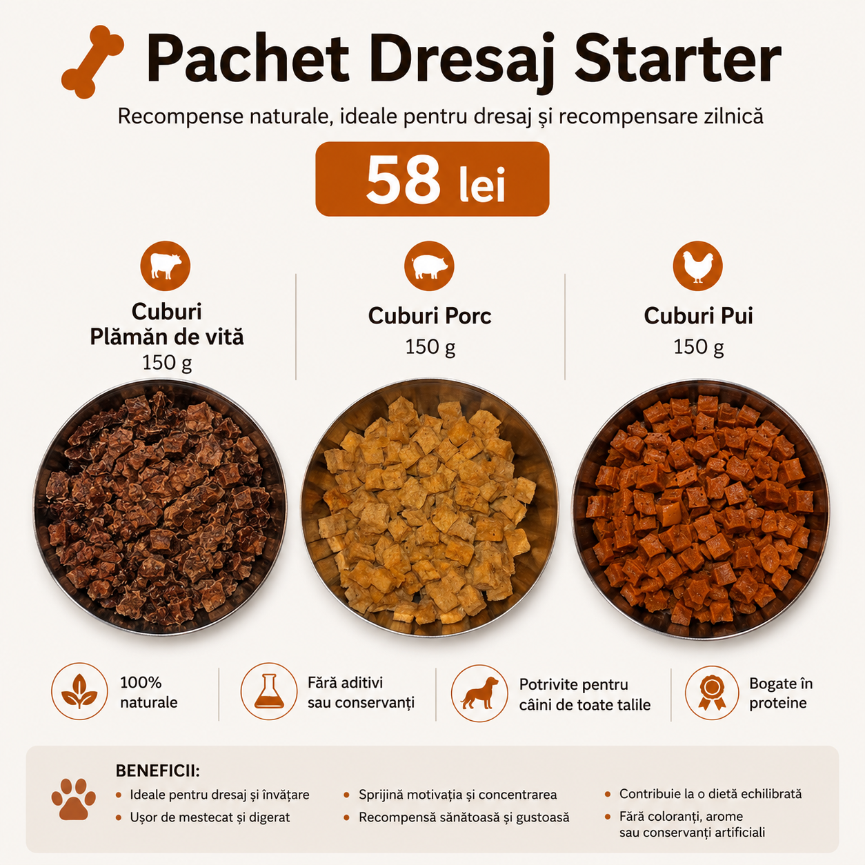 Pachet PROMO Dresaj Starter