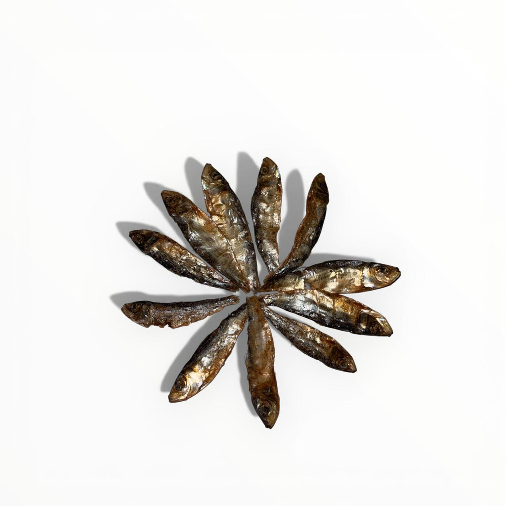 Sardine - 50 g