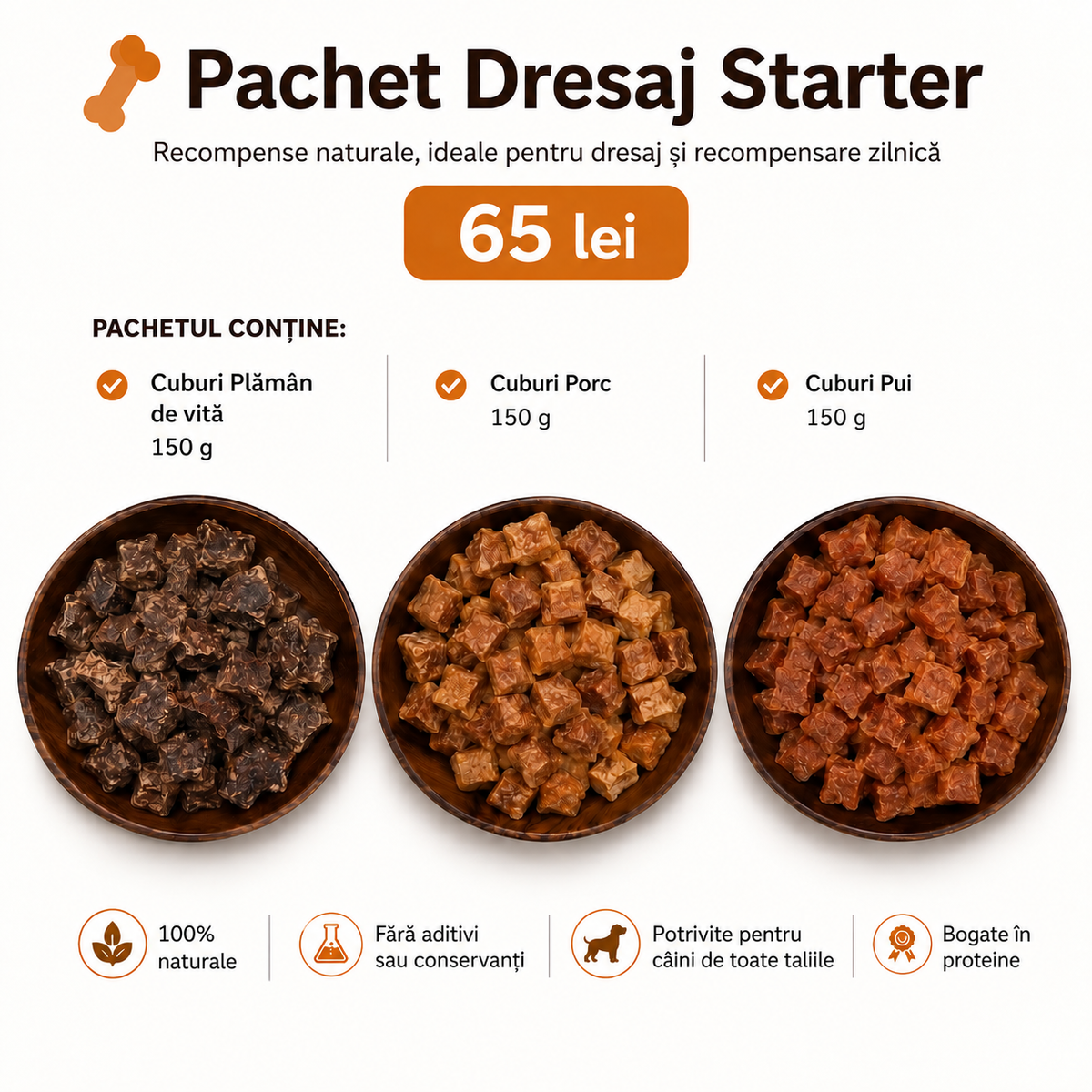 Pachet PROMO Dresaj Starter